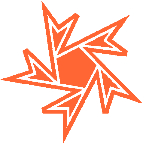 Botein star logo image
